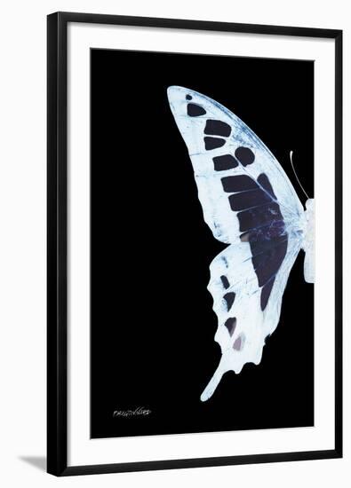 Miss Butterfly Cloanthus - X-Ray Left Black Edition-Philippe Hugonnard-Framed Photographic Print