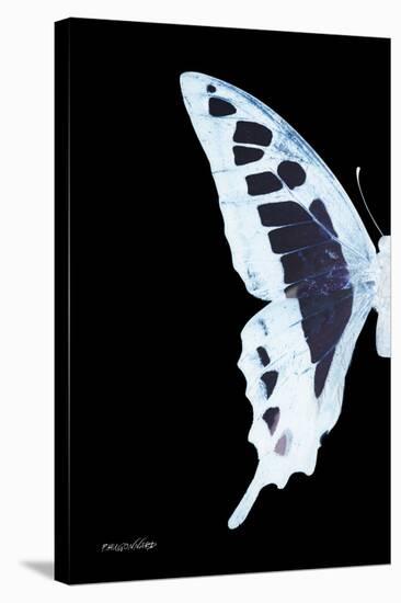 Miss Butterfly Cloanthus - X-Ray Left Black Edition-Philippe Hugonnard-Stretched Canvas