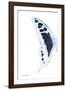 Miss Butterfly Cloanthus - X-Ray Left White Edition-Philippe Hugonnard-Framed Photographic Print