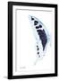 Miss Butterfly Cloanthus - X-Ray Left White Edition-Philippe Hugonnard-Framed Photographic Print