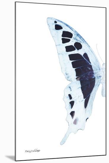 Miss Butterfly Cloanthus - X-Ray Left White Edition-Philippe Hugonnard-Mounted Premium Photographic Print
