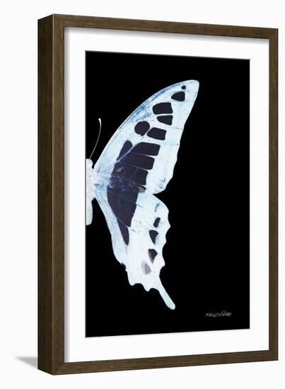 Miss Butterfly Cloanthus - X-Ray Right Black Edition-Philippe Hugonnard-Framed Photographic Print
