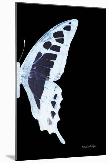 Miss Butterfly Cloanthus - X-Ray Right Black Edition-Philippe Hugonnard-Mounted Photographic Print