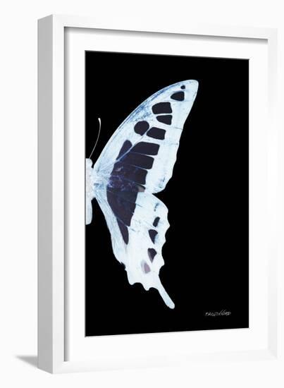 Miss Butterfly Cloanthus - X-Ray Right Black Edition-Philippe Hugonnard-Framed Photographic Print