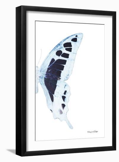 Miss Butterfly Cloanthus - X-Ray Right White Edition-Philippe Hugonnard-Framed Photographic Print