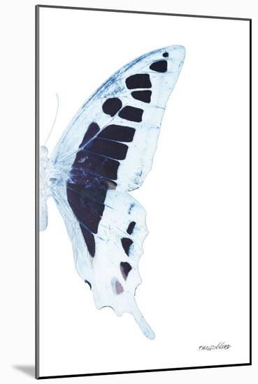 Miss Butterfly Cloanthus - X-Ray Right White Edition-Philippe Hugonnard-Mounted Photographic Print