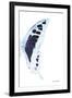 Miss Butterfly Cloanthus - X-Ray Right White Edition-Philippe Hugonnard-Framed Photographic Print