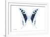 Miss Butterfly Cloanthus - X-Ray White Edition-Philippe Hugonnard-Framed Photographic Print