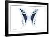 Miss Butterfly Cloanthus - X-Ray White Edition-Philippe Hugonnard-Framed Photographic Print