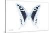 Miss Butterfly Cloanthus - X-Ray White Edition-Philippe Hugonnard-Stretched Canvas
