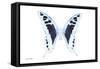 Miss Butterfly Cloanthus - X-Ray White Edition-Philippe Hugonnard-Framed Stretched Canvas