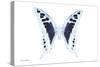 Miss Butterfly Cloanthus - X-Ray White Edition-Philippe Hugonnard-Stretched Canvas