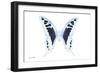 Miss Butterfly Cloanthus - X-Ray White Edition-Philippe Hugonnard-Framed Photographic Print