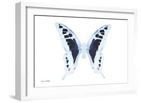 Miss Butterfly Cloanthus - X-Ray White Edition-Philippe Hugonnard-Framed Photographic Print