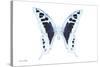 Miss Butterfly Cloanthus - X-Ray White Edition-Philippe Hugonnard-Stretched Canvas