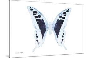 Miss Butterfly Cloanthus - X-Ray White Edition-Philippe Hugonnard-Stretched Canvas