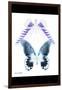 Miss Butterfly Duo Brookagenor II - X-Ray B&W Edition-Philippe Hugonnard-Framed Photographic Print