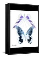 Miss Butterfly Duo Brookagenor II - X-Ray B&W Edition-Philippe Hugonnard-Framed Stretched Canvas