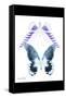 Miss Butterfly Duo Brookagenor II - X-Ray B&W Edition-Philippe Hugonnard-Framed Stretched Canvas