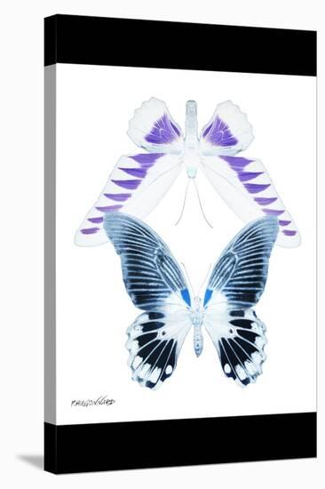 Miss Butterfly Duo Brookagenor II - X-Ray B&W Edition-Philippe Hugonnard-Stretched Canvas