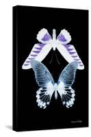 Miss Butterfly Duo Brookagenor II - X-Ray Black Edition-Philippe Hugonnard-Stretched Canvas