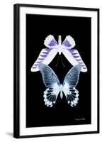 Miss Butterfly Duo Brookagenor II - X-Ray Black Edition-Philippe Hugonnard-Framed Photographic Print