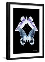 Miss Butterfly Duo Brookagenor II - X-Ray Black Edition-Philippe Hugonnard-Framed Photographic Print