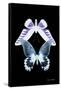 Miss Butterfly Duo Brookagenor II - X-Ray Black Edition-Philippe Hugonnard-Framed Stretched Canvas