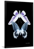 Miss Butterfly Duo Brookagenor II - X-Ray Black Edition-Philippe Hugonnard-Framed Photographic Print