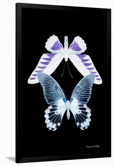 Miss Butterfly Duo Brookagenor II - X-Ray Black Edition-Philippe Hugonnard-Framed Photographic Print