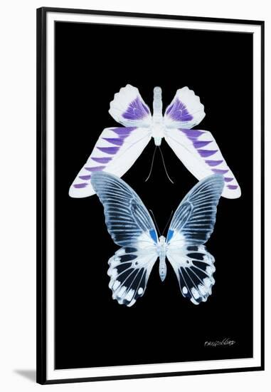 Miss Butterfly Duo Brookagenor II - X-Ray Black Edition-Philippe Hugonnard-Framed Premium Photographic Print