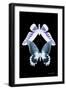 Miss Butterfly Duo Brookagenor II - X-Ray Black Edition-Philippe Hugonnard-Framed Photographic Print