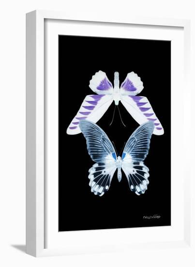 Miss Butterfly Duo Brookagenor II - X-Ray Black Edition-Philippe Hugonnard-Framed Photographic Print