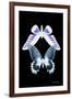 Miss Butterfly Duo Brookagenor II - X-Ray Black Edition-Philippe Hugonnard-Framed Photographic Print