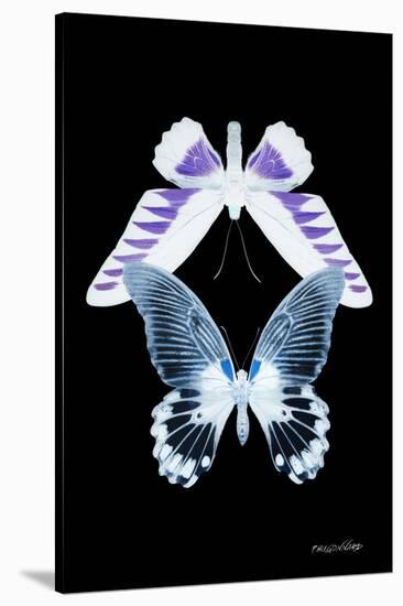 Miss Butterfly Duo Brookagenor II - X-Ray Black Edition-Philippe Hugonnard-Stretched Canvas