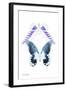 Miss Butterfly Duo Brookagenor II - X-Ray White Edition-Philippe Hugonnard-Framed Photographic Print