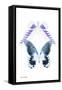 Miss Butterfly Duo Brookagenor II - X-Ray White Edition-Philippe Hugonnard-Framed Stretched Canvas