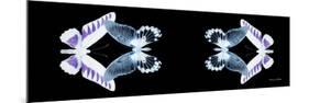 Miss Butterfly Duo Brookagenor Pan - X-Ray Black Edition II-Philippe Hugonnard-Mounted Photographic Print