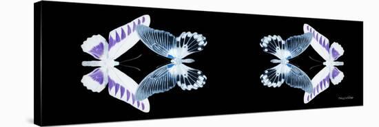 Miss Butterfly Duo Brookagenor Pan - X-Ray Black Edition II-Philippe Hugonnard-Stretched Canvas