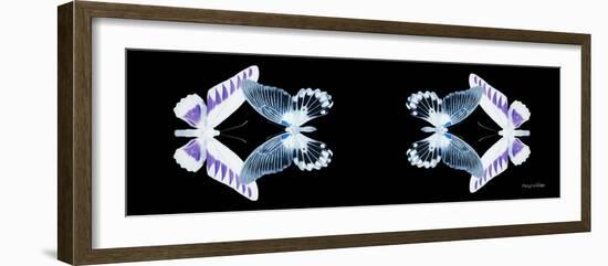 Miss Butterfly Duo Brookagenor Pan - X-Ray Black Edition II-Philippe Hugonnard-Framed Photographic Print