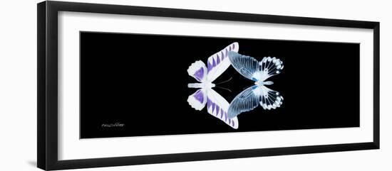 Miss Butterfly Duo Brookagenor Pan - X-Ray Black Edition-Philippe Hugonnard-Framed Photographic Print