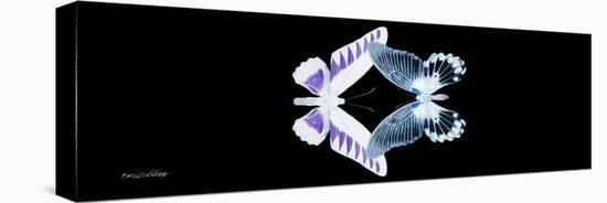 Miss Butterfly Duo Brookagenor Pan - X-Ray Black Edition-Philippe Hugonnard-Stretched Canvas