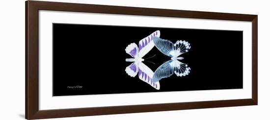 Miss Butterfly Duo Brookagenor Pan - X-Ray Black Edition-Philippe Hugonnard-Framed Photographic Print