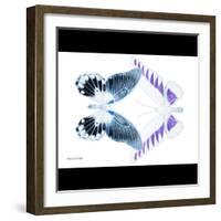 Miss Butterfly Duo Brookagenor Sq - X-Ray B&W Edition-Philippe Hugonnard-Framed Photographic Print