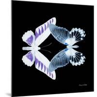 Miss Butterfly Duo Brookagenor Sq - X-Ray Black Edition-Philippe Hugonnard-Mounted Photographic Print