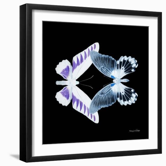 Miss Butterfly Duo Brookagenor Sq - X-Ray Black Edition-Philippe Hugonnard-Framed Photographic Print