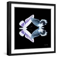 Miss Butterfly Duo Brookagenor Sq - X-Ray Black Edition-Philippe Hugonnard-Framed Photographic Print