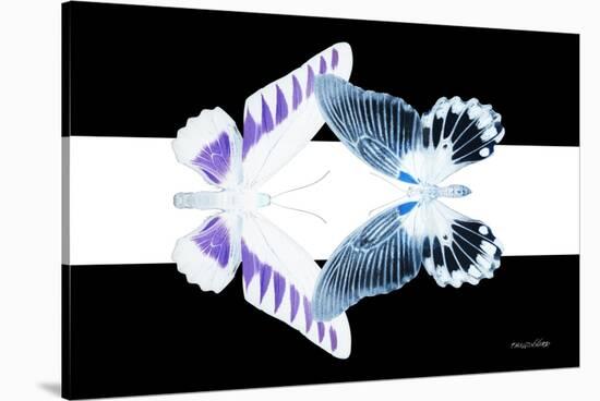 Miss Butterfly Duo Brookagenor - X-Ray B&W Edition II-Philippe Hugonnard-Stretched Canvas