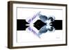 Miss Butterfly Duo Brookagenor - X-Ray B&W Edition-Philippe Hugonnard-Framed Photographic Print