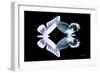 Miss Butterfly Duo Brookagenor - X-Ray Black Edition-Philippe Hugonnard-Framed Photographic Print